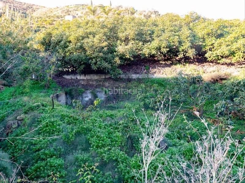 Foto b94aafe8-0762-41ac-95cc-8040dec1572c. Terreno residenziale in Torrox pueblo Torrox
