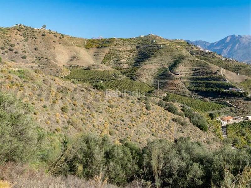 Foto 215c6185-3200-462c-86fe-e89de3eef771. Wohngrundstück in Torrox pueblo Torrox