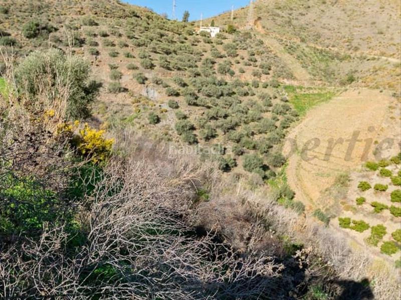 Foto 459684b8-a3a4-45a8-b67e-946bcf1804dc. Wohngrundstück in Torrox pueblo Torrox