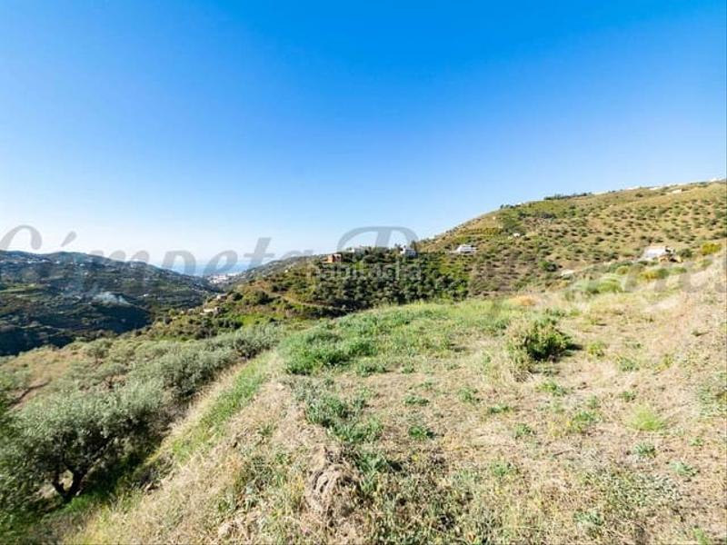 Foto 5563e284-e14d-4165-84d1-948fcaf24464. Terreny residencial a Torrox pueblo Torrox