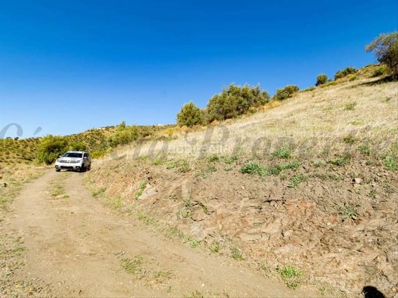 Foto d28fcf0a-6a28-4b80-b46b-4cf3882e8a2e. Terreno residenziale in Torrox pueblo Torrox