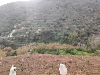 Terreny residencial a Torrox Pueblo