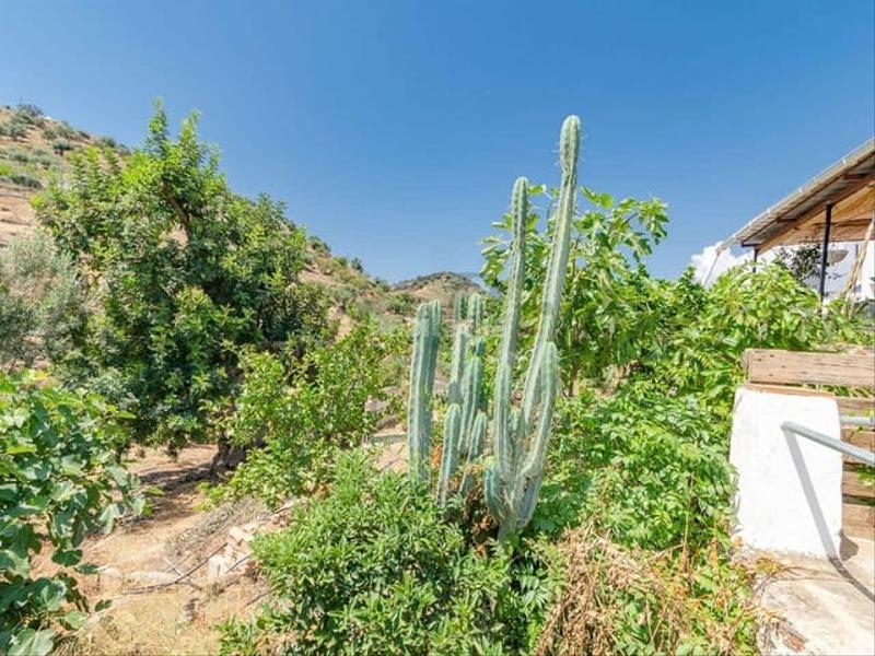 Foto a5dbfa3e-3f65-40aa-a9bf-02711fcf3827. Terreno residencial en Canillas de Aceituno