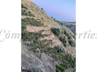 Terreny residencial a Frigiliana