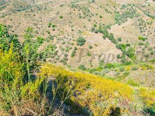 Residential Plot in Sedella