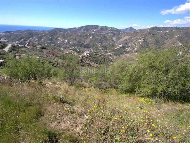 Foto b37cd5f6-dfd6-42f3-9cb9-a973f26a5985. Terreny residencial a Torrox pueblo Torrox