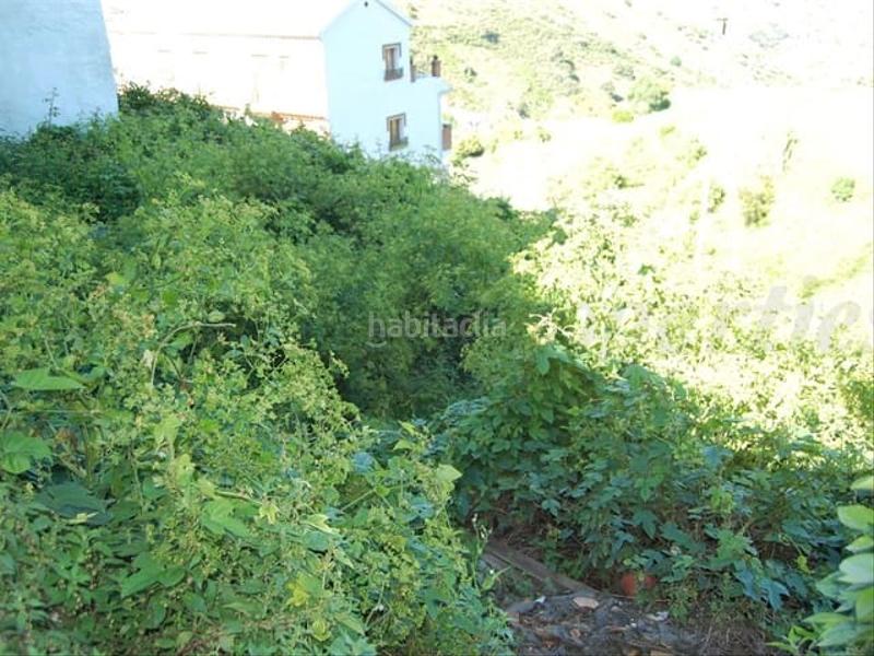 Foto 71559e60-bb28-4400-87a9-846bf1c86254. Residential plot in Cómpeta