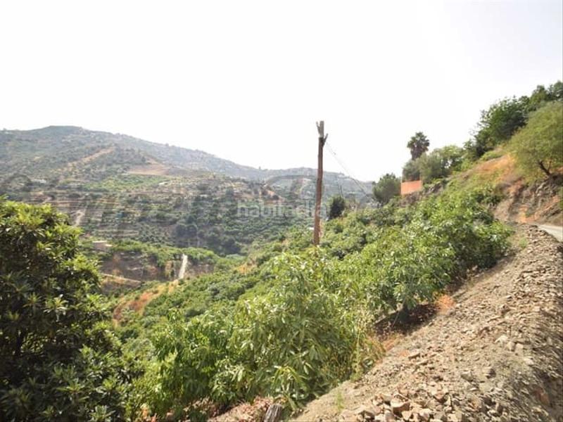 Foto 0c703956-21d3-4747-bd75-24c537b104be. Terreny residencial a Torrox pueblo Torrox