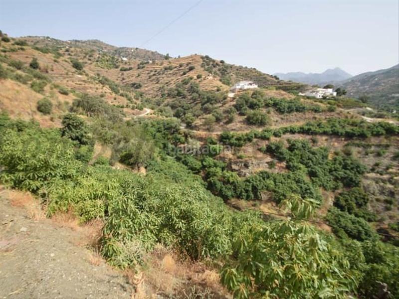 Foto 9ed3449f-1f41-4134-b54f-1314b5ac848f. Terreny residencial a Torrox pueblo Torrox