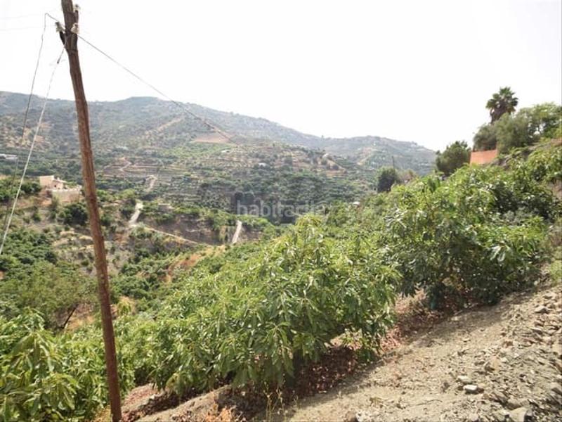Foto a92689cb-f8b5-4aa5-9774-598b75a012db. Terreny residencial a Torrox pueblo Torrox