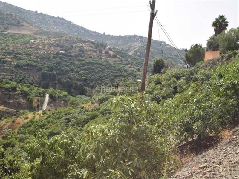 Foto f1fd2241-d21c-46e1-8b26-cc1044f2251a. Terreno residenziale in Torrox pueblo Torrox