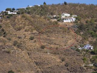 Terreny residencial a Cómpeta