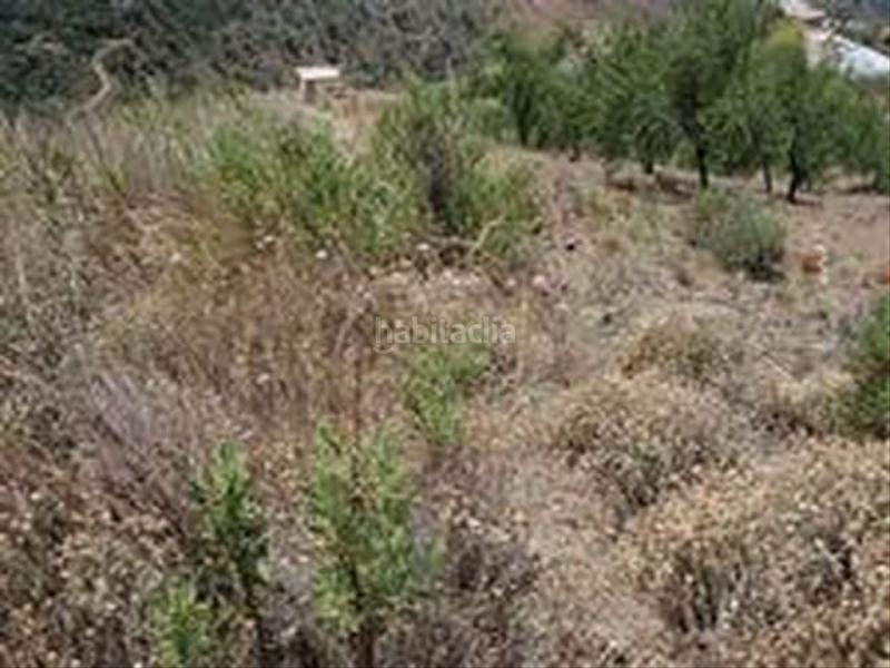 Foto 2e96166c-c154-4c02-8ef0-d445c5ebbbed. Terrain résidentiel dans Sedella