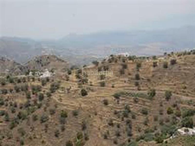 Foto 5a398d50-fd8c-467c-a558-316d1ffccefc. Terrain résidentiel dans Sedella