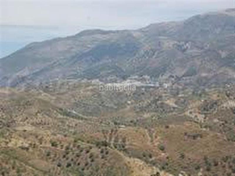 Foto 999c3117-a90c-4f86-8a67-9399e47f5191. Terrain résidentiel dans Sedella