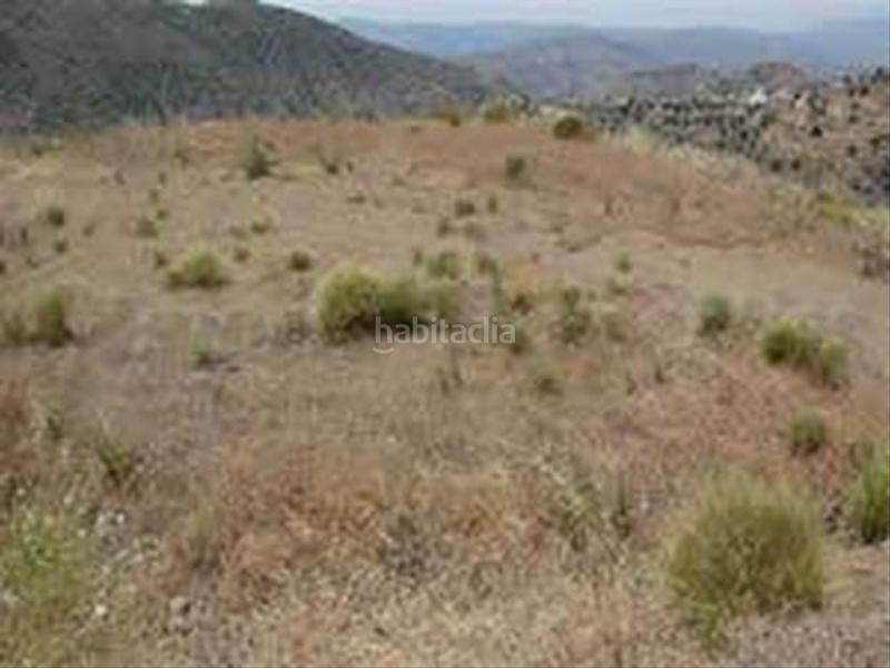 Foto da614606-9206-40cf-9ed4-bc86a8c13fea. Terrain résidentiel dans Sedella