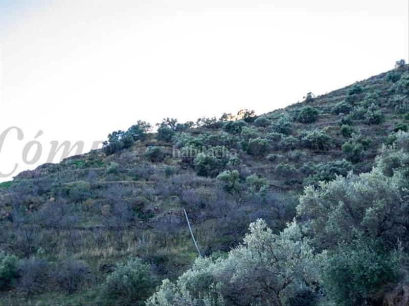 Foto a0f58cb0-9691-40ec-81b6-5633cb1b2335. Terreny residencial a Torrox pueblo Torrox