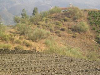 Terreno residenziale in Sedella