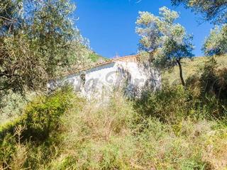 Residential Plot in Canillas de Albaida