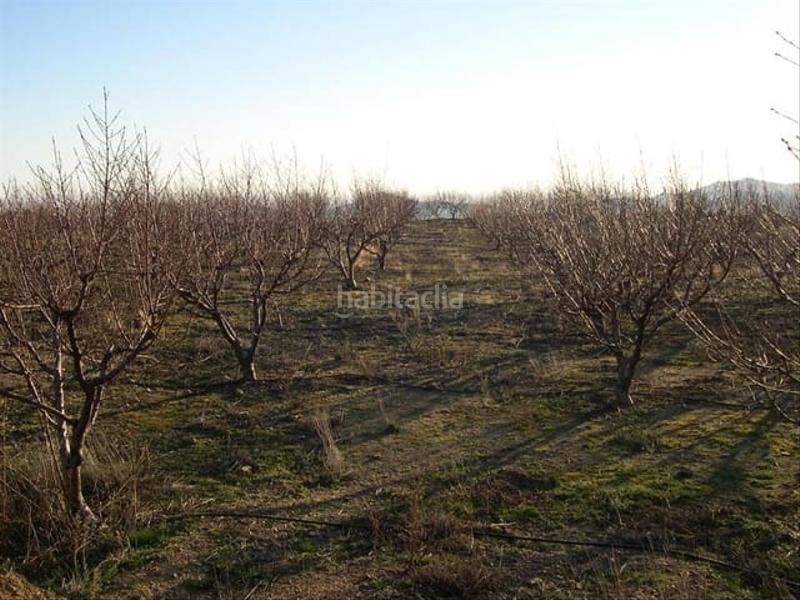 Foto 015ef8af-855c-4db4-97b1-e72474831d51. Residential plot in Canillas de Albaida