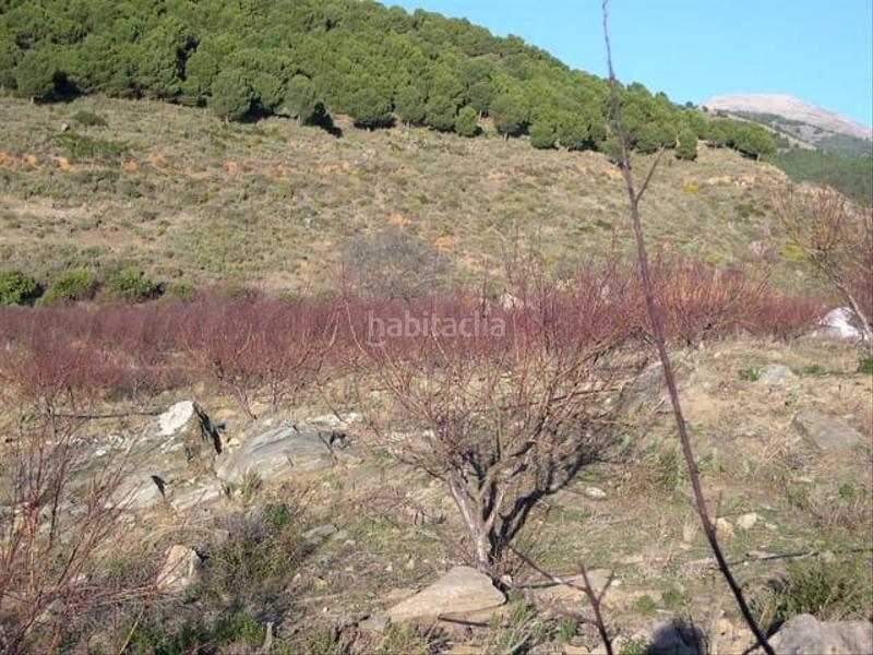 Foto a25a95fc-4aa9-49ad-90a9-64aa2a57cf73. Residential plot in Canillas de Albaida