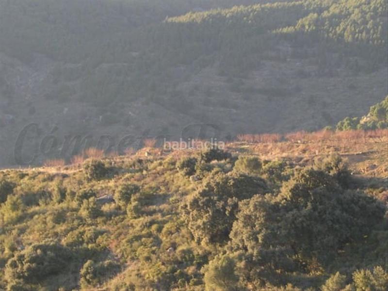 Foto 57799aa4-e67e-4635-8538-36db91f631bf. Terreno residenziale in Canillas de Albaida