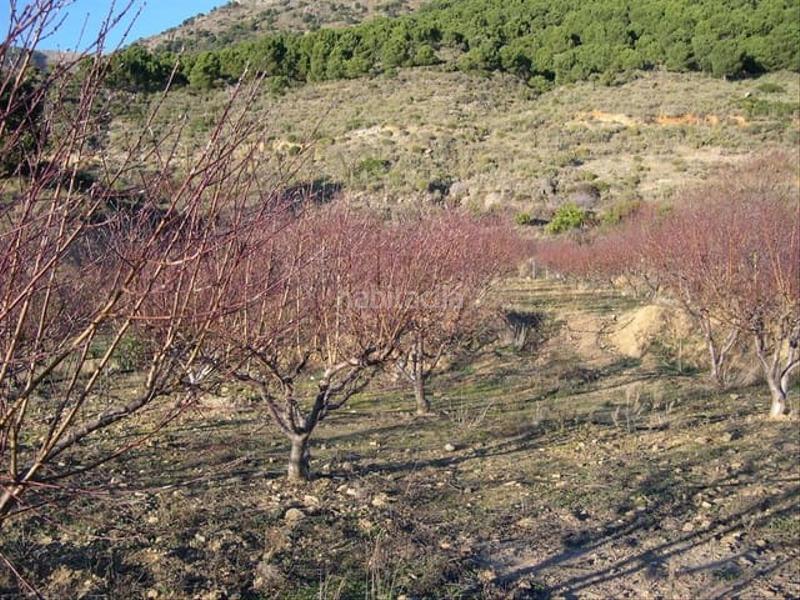 Foto 64f02756-a137-4699-bf49-9fb759e2d4d5. Terreno residenziale in Canillas de Albaida