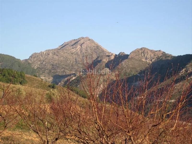 Foto 31b6a51b-aed6-4d5f-bef5-fb4bfa539a2c. Wohngrundstück in Canillas de Albaida