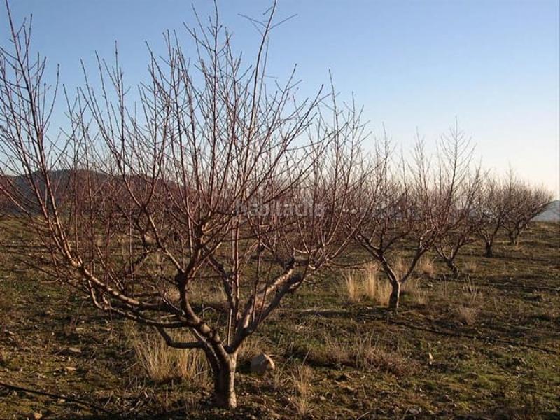 Foto 84bd120e-12e0-4ba7-ac4c-7df67816bf77. Wohngrundstück in Canillas de Albaida