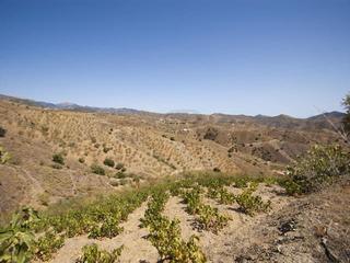 Terreny residencial a Sedella