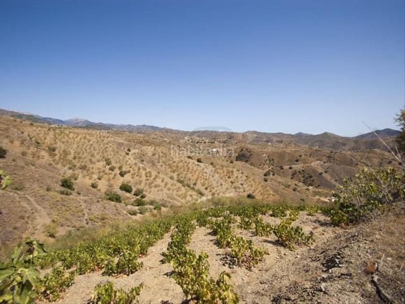 Foto 8f0708de-bbe3-4446-899b-b097c465ba86. Terreno residencial en Sedella