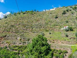 Residential Plot in Cómpeta