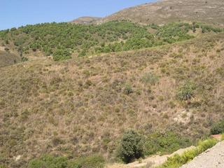 Terreno residenziale in Sedella