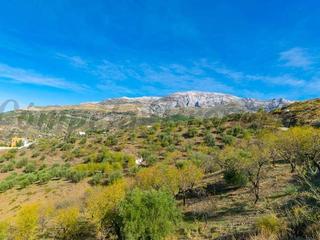 Terreny residencial a Sedella