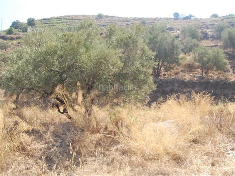 Foto f6177f94-ba30-4b0c-ab83-21e7944a4663. Terreno residencial en Cómpeta