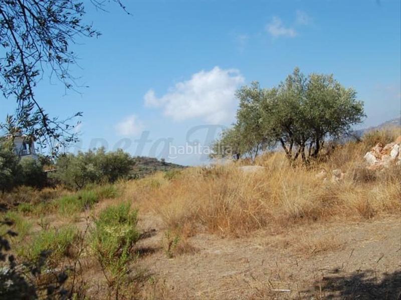 Foto fbca4dcc-eb75-4d46-b283-56b182020227. Terreno residencial en Cómpeta