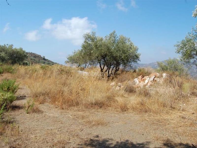 Foto 67232b98-ac18-4d5e-bde3-8132a02cff3a. Terreno residenziale in Cómpeta