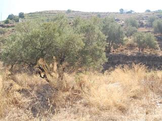 Terreno residenziale in Cómpeta
