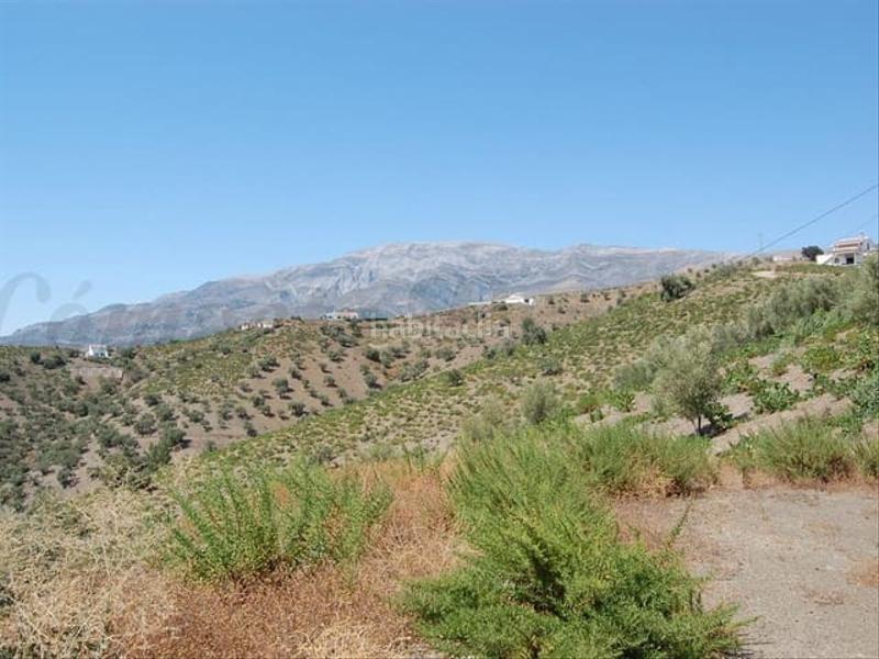 Foto 8e93d398-a85a-4ba4-acbd-22df178b0523. Terreno residencial en Árchez
