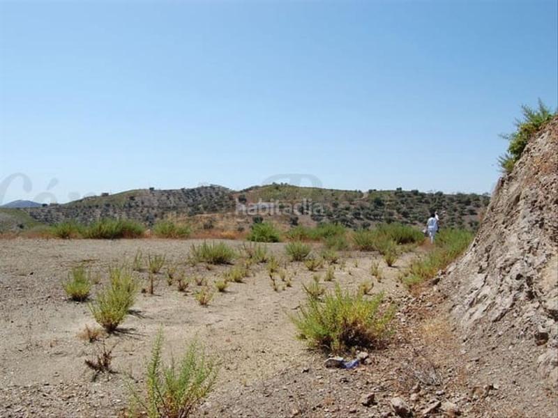 Foto cbf21cb1-7e46-4460-a2d2-e17f6925884f. Terreno residencial en Árchez