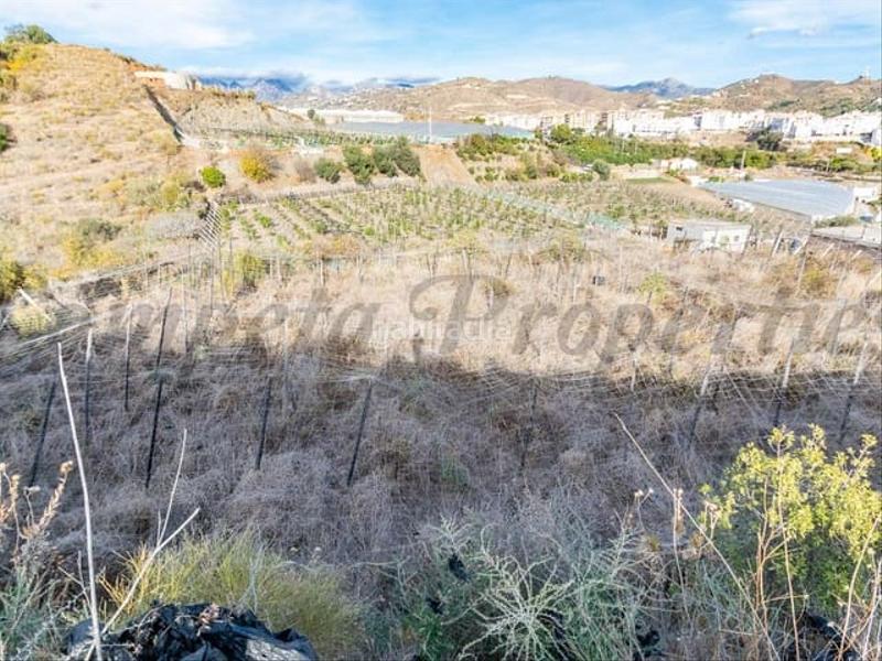Foto 9d64233a-1655-4bc0-9157-c877c0dd7bec. Terreno residencial en Torrox pueblo Torrox