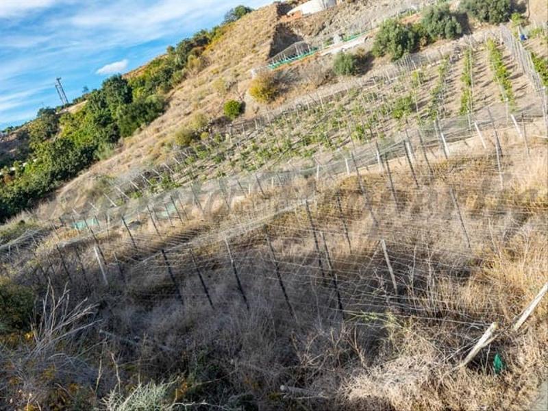 Foto 6fc0ac74-c955-40f7-b961-684a55f60fc4. Terrain résidentiel dans Torrox pueblo Torrox