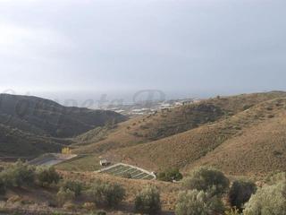 Terreno residenziale in Sayalonga