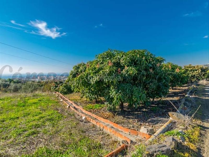 Foto 13cb8fad-6fce-45a1-9494-c69ba03a8459. Terreno residencial en Torrox pueblo Torrox
