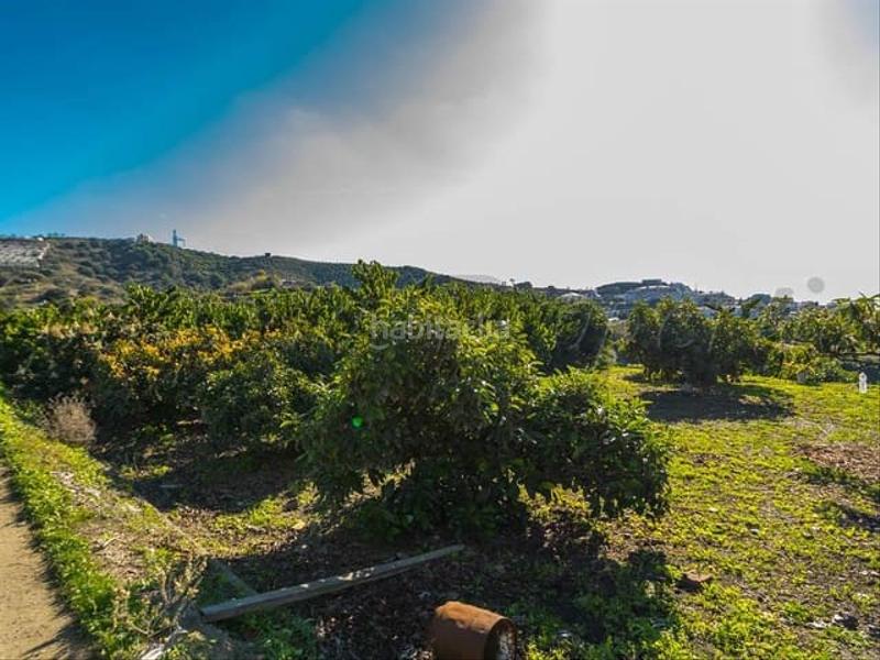 Foto 694d77e7-51bd-47ba-85be-2e5d8ca68e27. Terreno residencial en Torrox pueblo Torrox