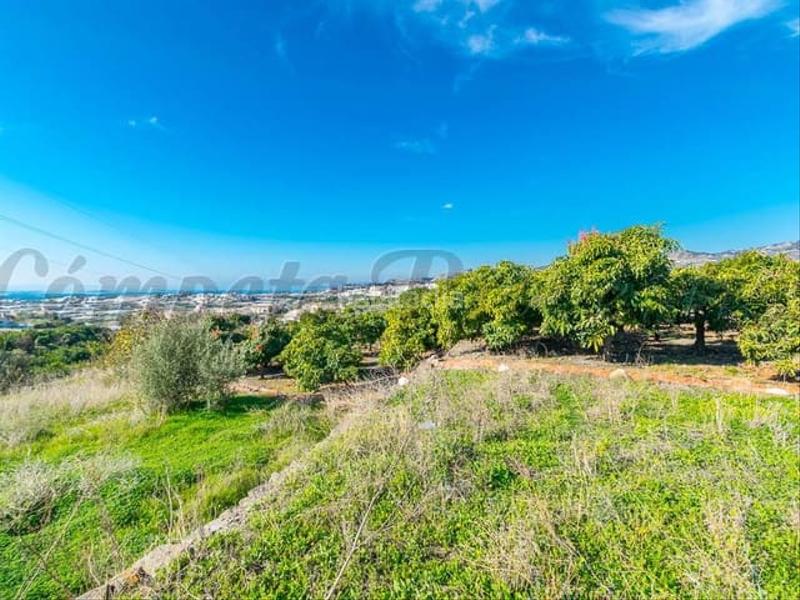 Foto 7d1448a1-2895-482b-a662-4fbb9fa31642. Terreno residencial en Torrox pueblo Torrox