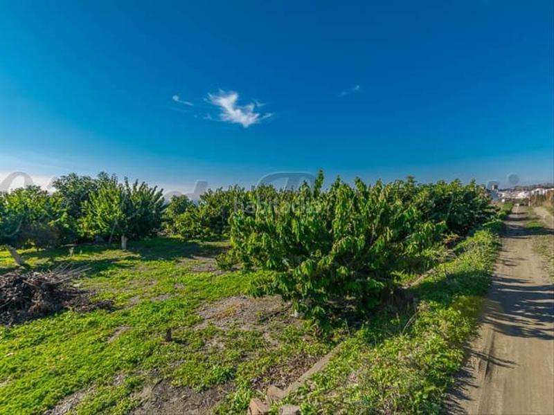Foto b63f0932-5718-488e-ba2d-329e2896c665. Terreno residencial en Torrox pueblo Torrox