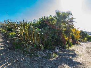 Residential Plot in Torrox Pueblo