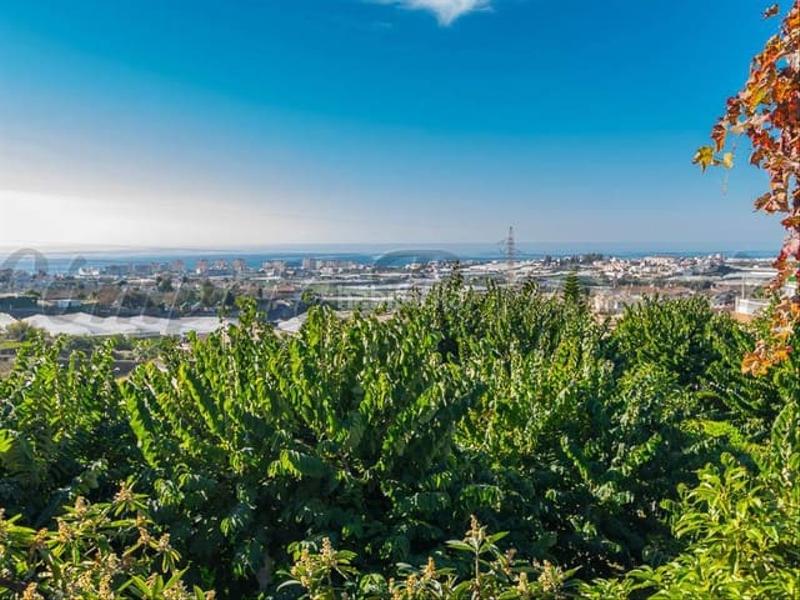 Foto a37b702a-e82e-46f4-b7d8-5e4f26494d45. Terreno residenziale in Torrox pueblo Torrox