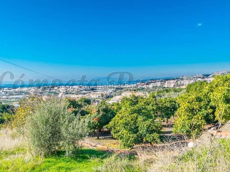 Foto 0122fdbd-0010-4404-a276-cf42c644e662. Wohngrundstück in Torrox pueblo Torrox